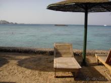 фото Schweizerhof