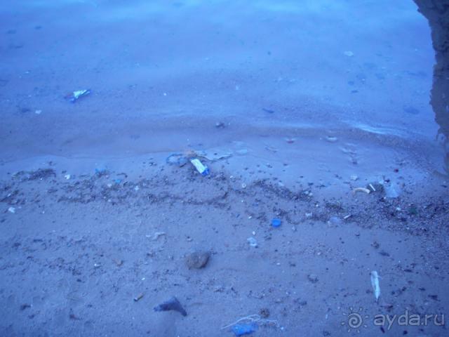 Ни моря, ни пляжа.Рады что вернулись домой.