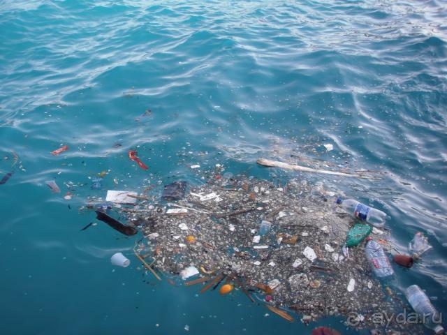 Ни моря, ни пляжа.Рады что вернулись домой.