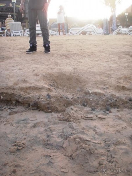 Ни моря, ни пляжа.Рады что вернулись домой.