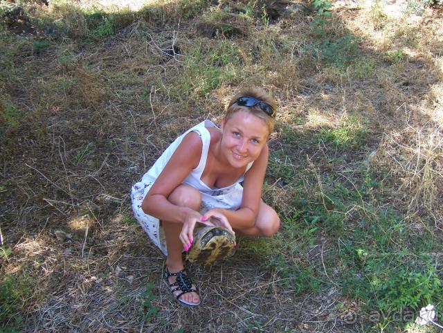 Старушка Греция или по следам Джеральда Даррелла