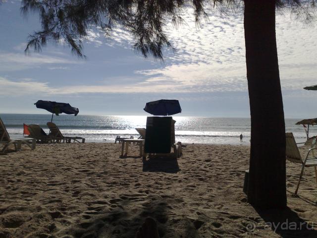 фото Amora Beach Resort