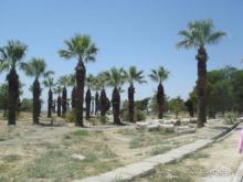 Древний г. Хиерополис