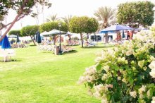 фото Al Diar Gulf Hotel