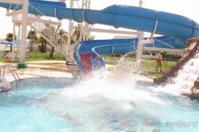 фото Al Diar Gulf Hotel