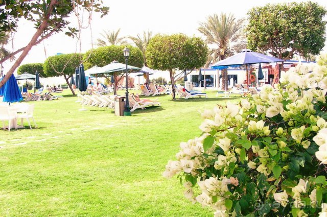 фото Reich Hotel