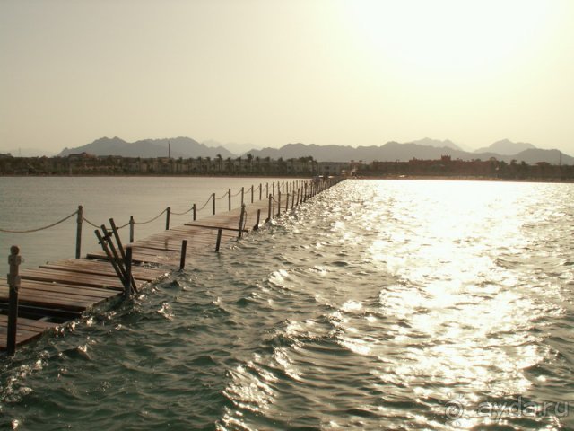 Лучше один раз увидеть, чем сто раз прочитать отзывы.