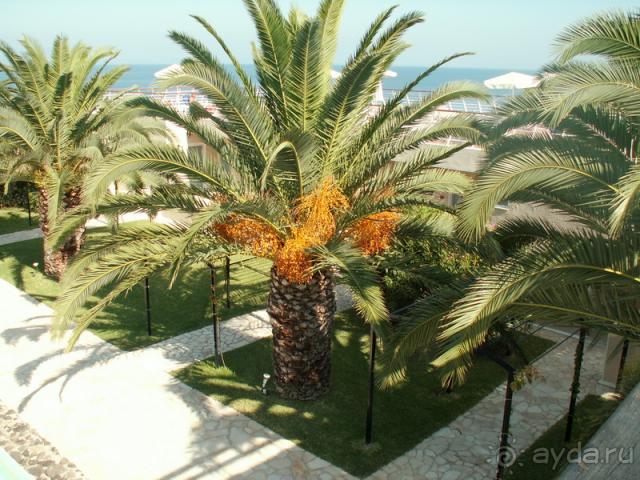 Территория отеля