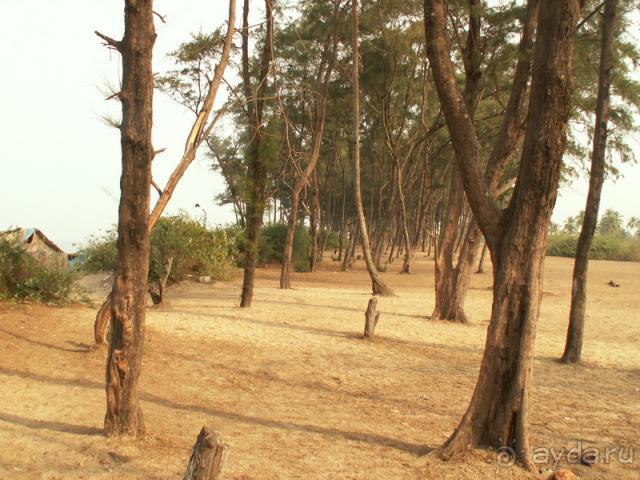 фото H10 Salauris Palace