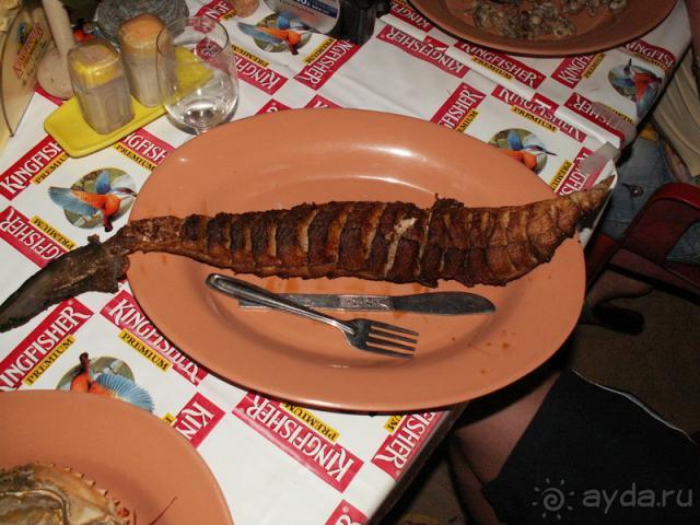 Жаренная акула