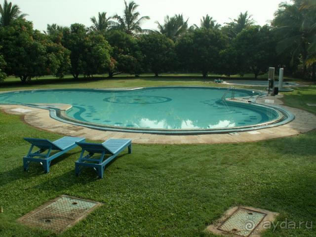 трехлепестковый бассейн на второй территории