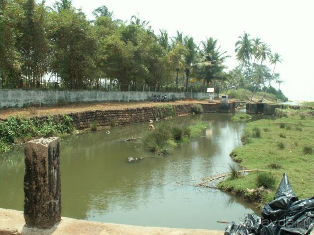 Речка вонючка