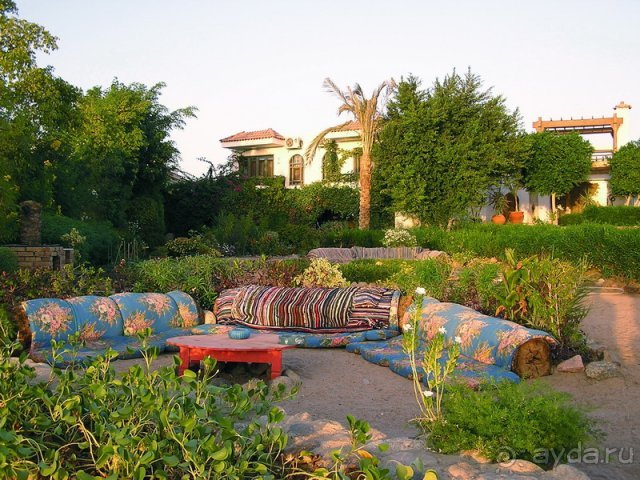 фото Albatros Sharm Resort