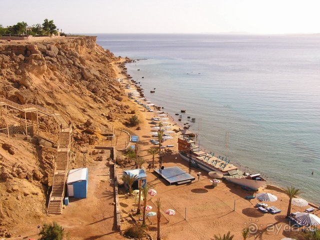 фото Albatros Sharm Resort