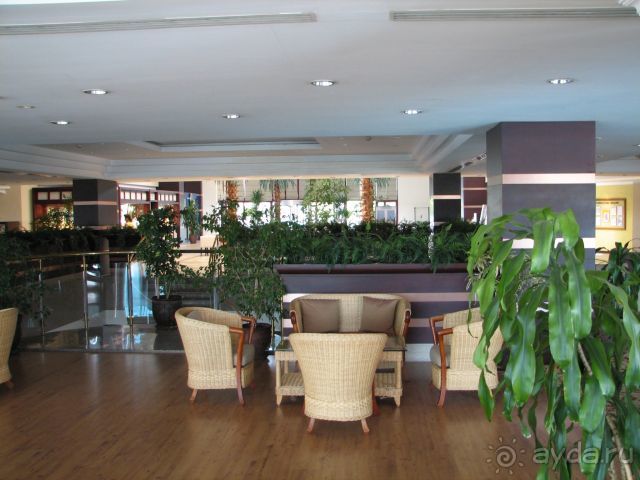 фото Green Max Hotel