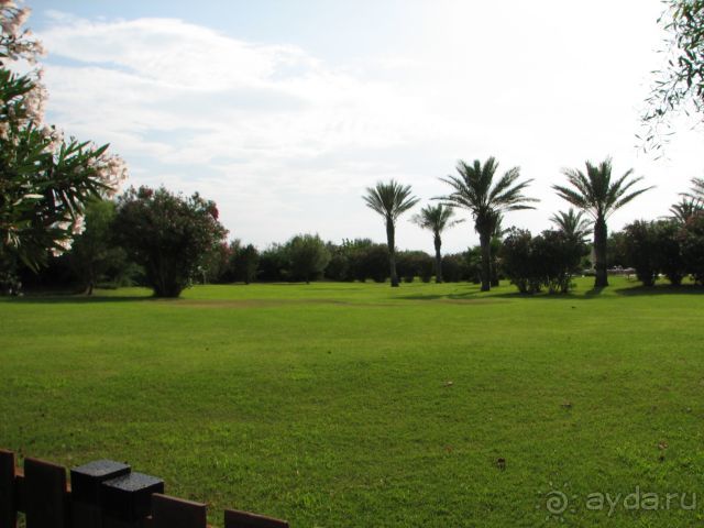 фото Green Max Hotel