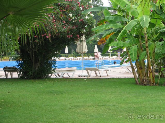 фото Green Max Hotel