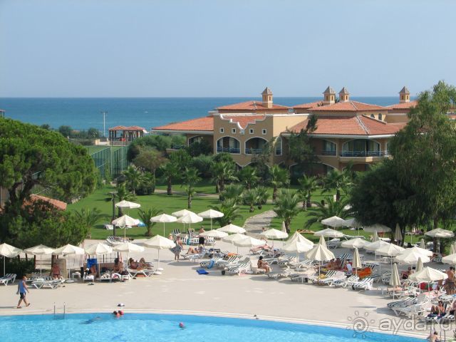 фото Green Max Hotel