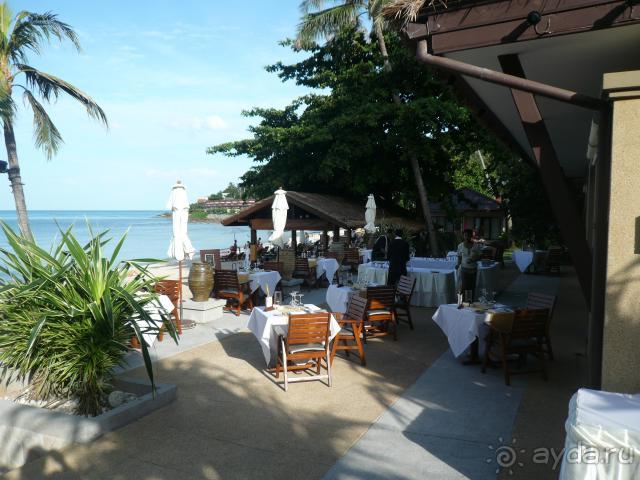 ресторан SABAI у пляжа ресторан SABAI у пляжа