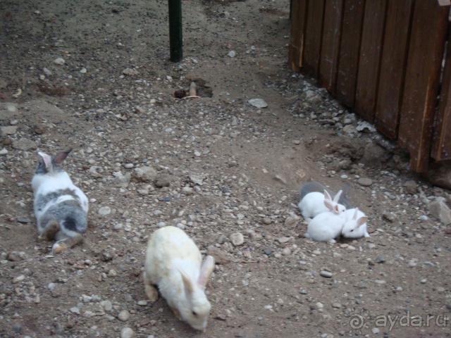 Если у вас дети - вам в Марти Миру!