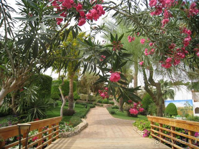 фото Royal Grand Sharm 