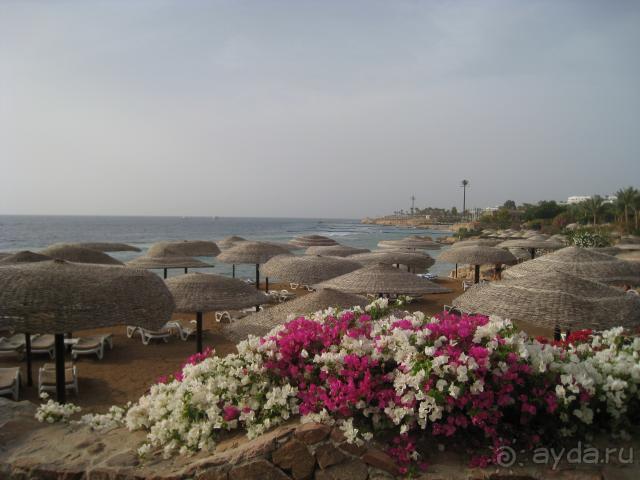 фото Royal Grand Sharm 