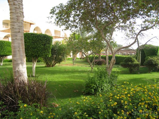 фото Royal Grand Sharm 