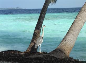 Тут останавливается время