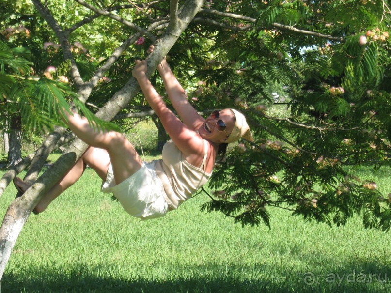 лучшее в Пицунде