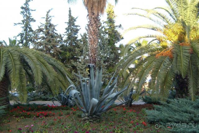 Просто СУПЕР!!! Еще туда поеду!!! 