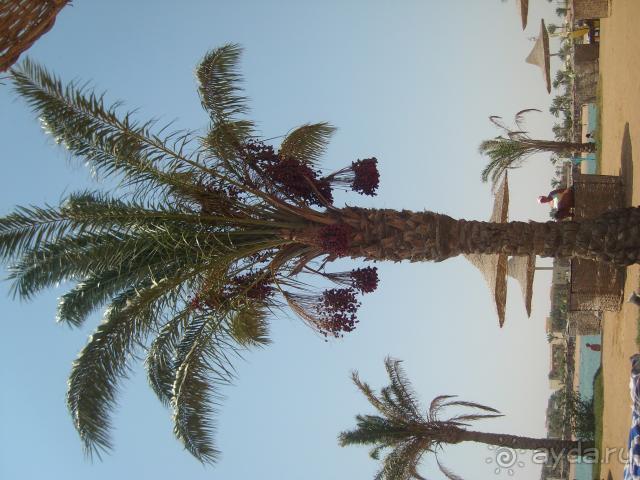 территория