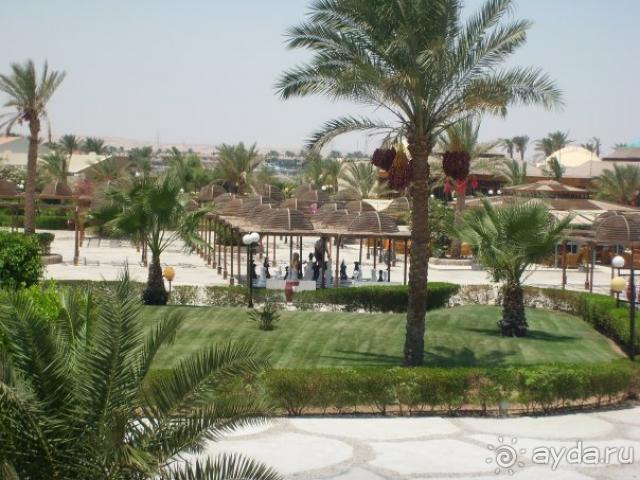 вид из окна (корпус 6000)