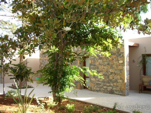 Blue Sea Village - зеленая территория, близко от моря и от тусовок, 