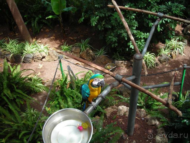 Отдых на Тенерифе