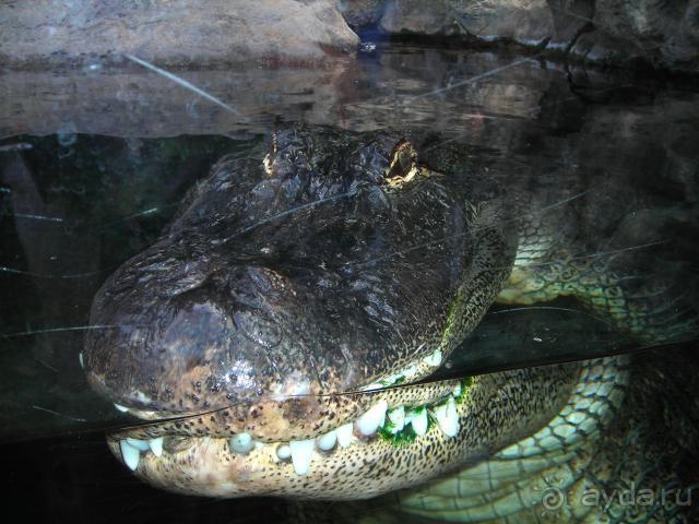 Отдых на Тенерифе