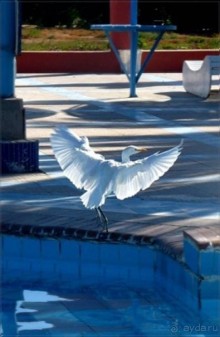 фото Hor Palace (закрыто)