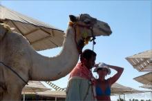 Прекрасный отдых в очень хорошем отеле!!! 