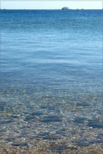 Прекрасный отдых в очень хорошем отеле!!! 