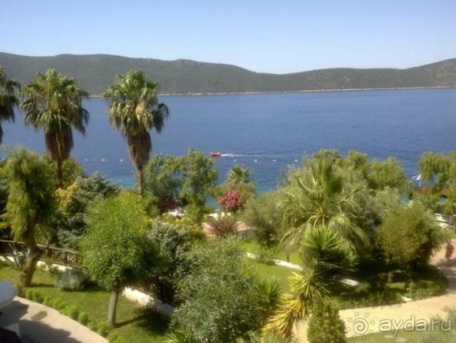 Это конечно не 5*...