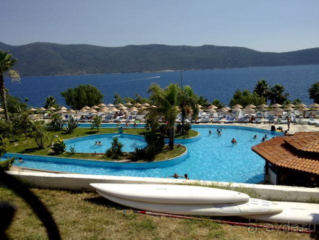 фото Звезда