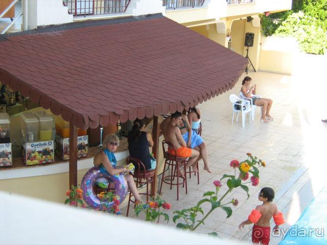 фото Камелия