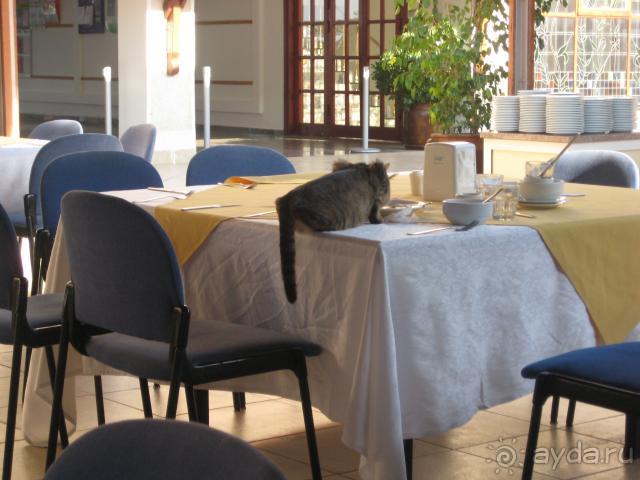 фото Лагуна Бич