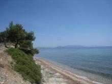 Спасибо Елене