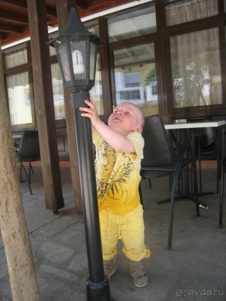 Спасибо Елене