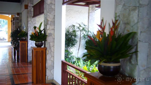 WoodLand Resort, Pattaya 4*