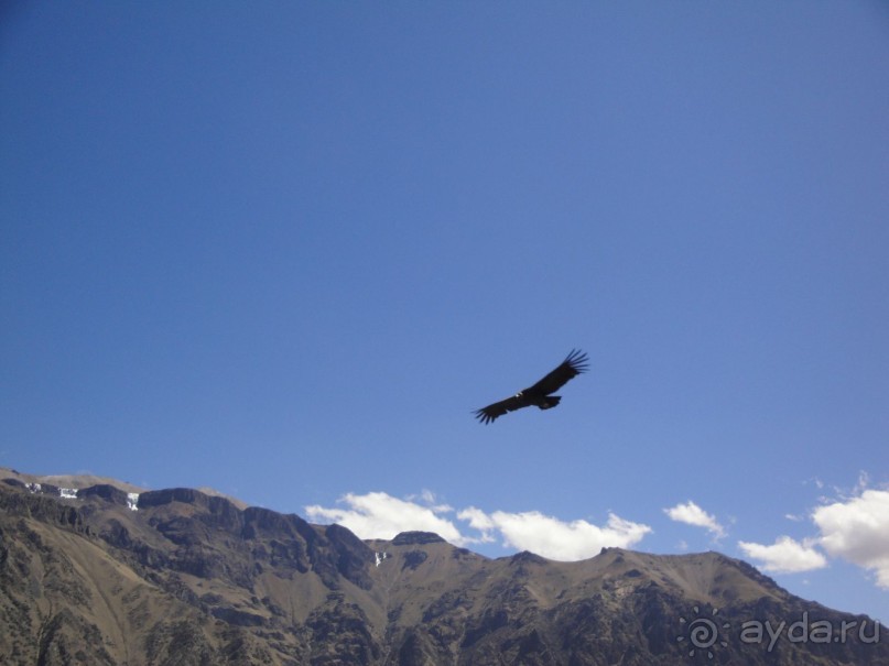 Лима и другие места юга Перу 