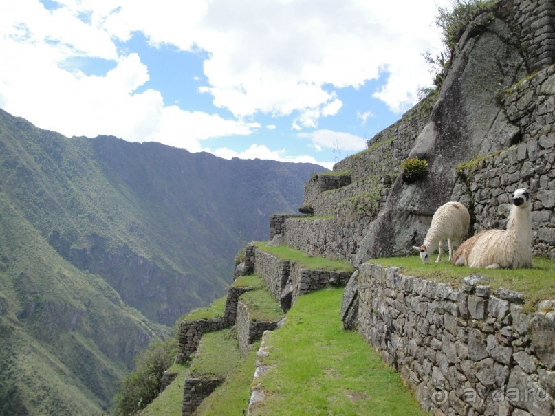 Лима и другие места юга Перу 