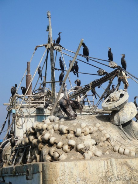 Лима и другие места юга Перу 