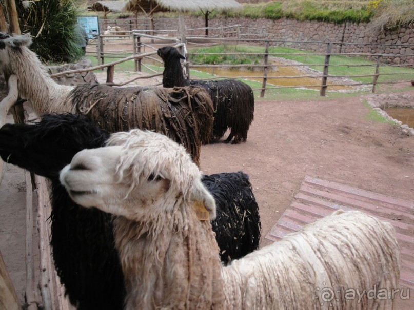 Лима и другие места юга Перу 