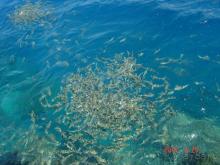 фото Cataract Marsa Alam Resort